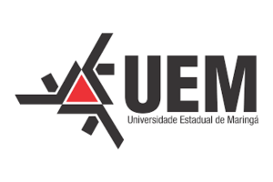 Universidades reconhecedoras de títulos do paraguai27